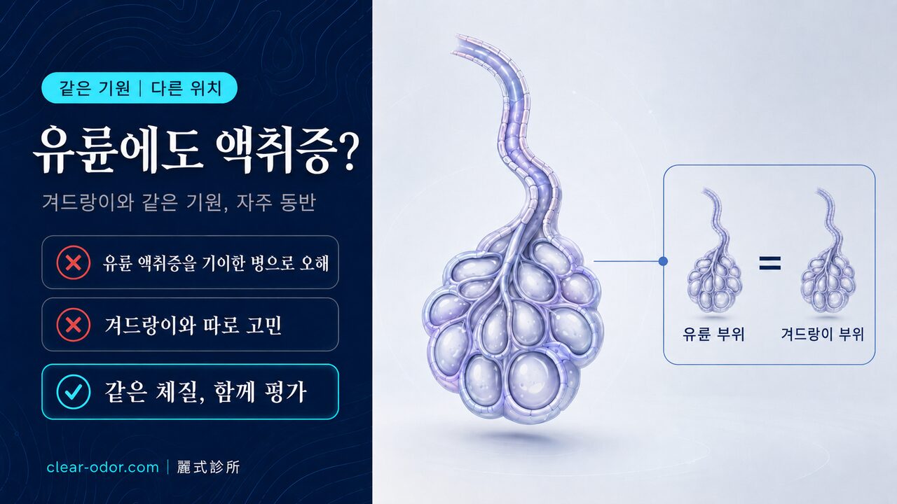 유륜 액취증과 겨드랑이 액취증은 같은가? 원인·잘 생기는 사람·동반 여부