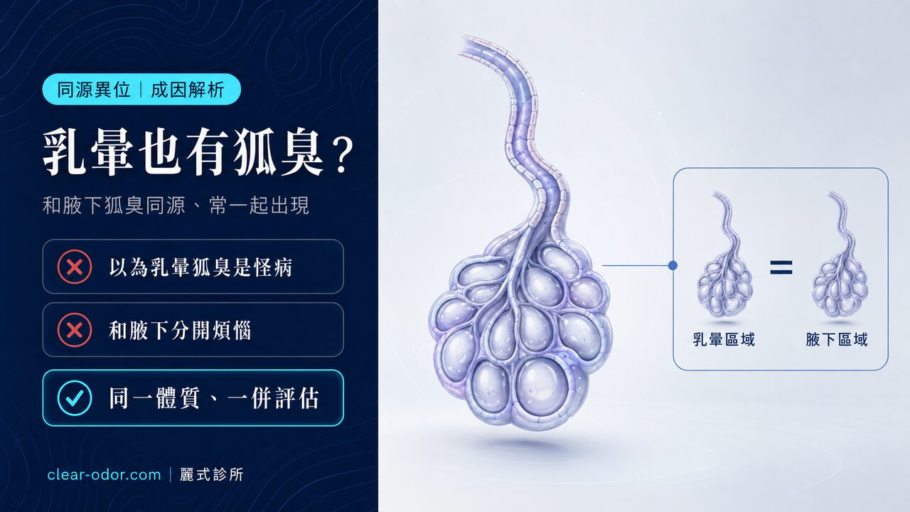 乳暈狐臭和腋下狐臭一樣嗎?成因、好發族群與是否會合併