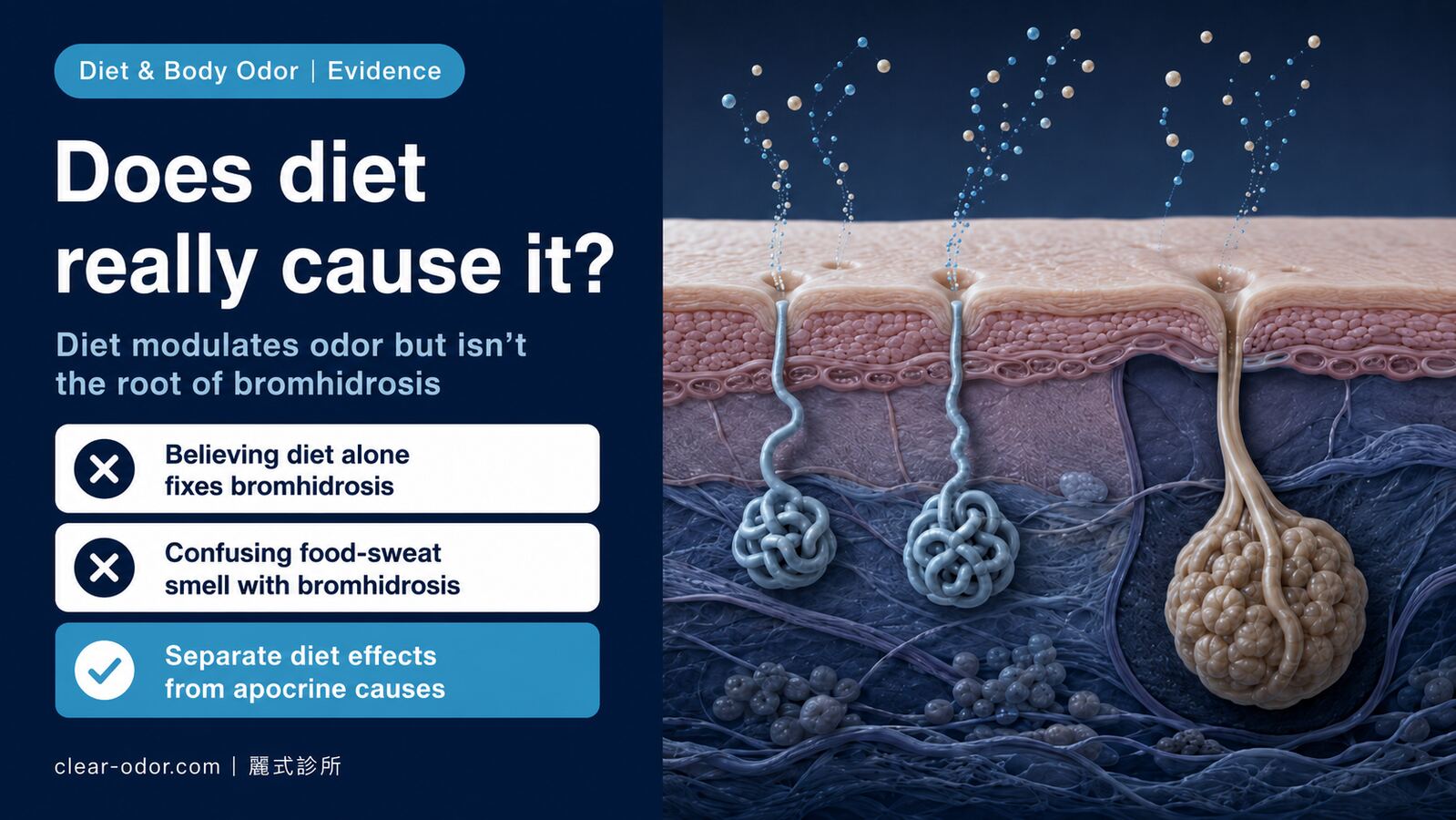 Does Diet Really Affect Body Odor? Garlic, Red Meat, Alcohol, and the Science of 'Fish Odor Syndrome'