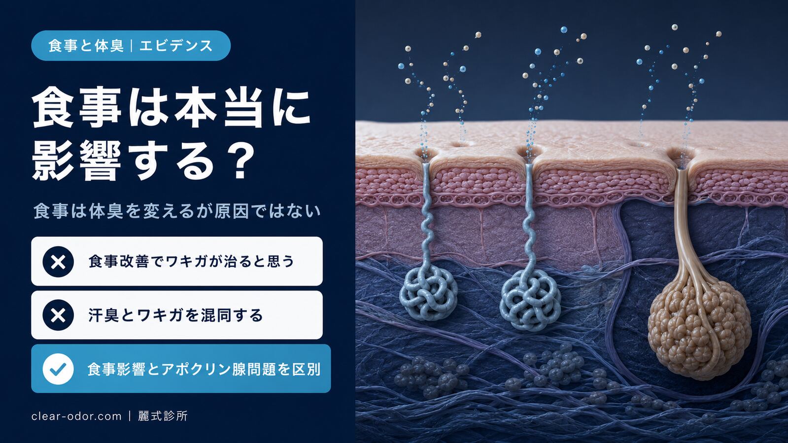 食事は本当に体臭に影響するのか?にんにく・赤身肉・アルコールと「魚臭症」の科学