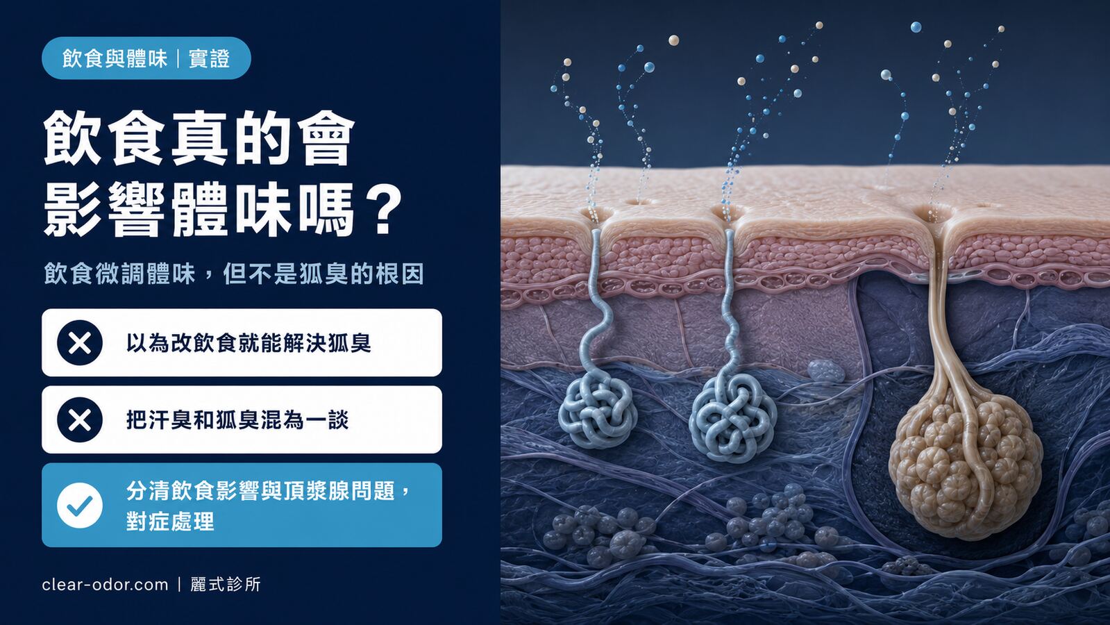 飲食真的會影響體味嗎?大蒜、紅肉、酒精與「魚臭症」的科學解析