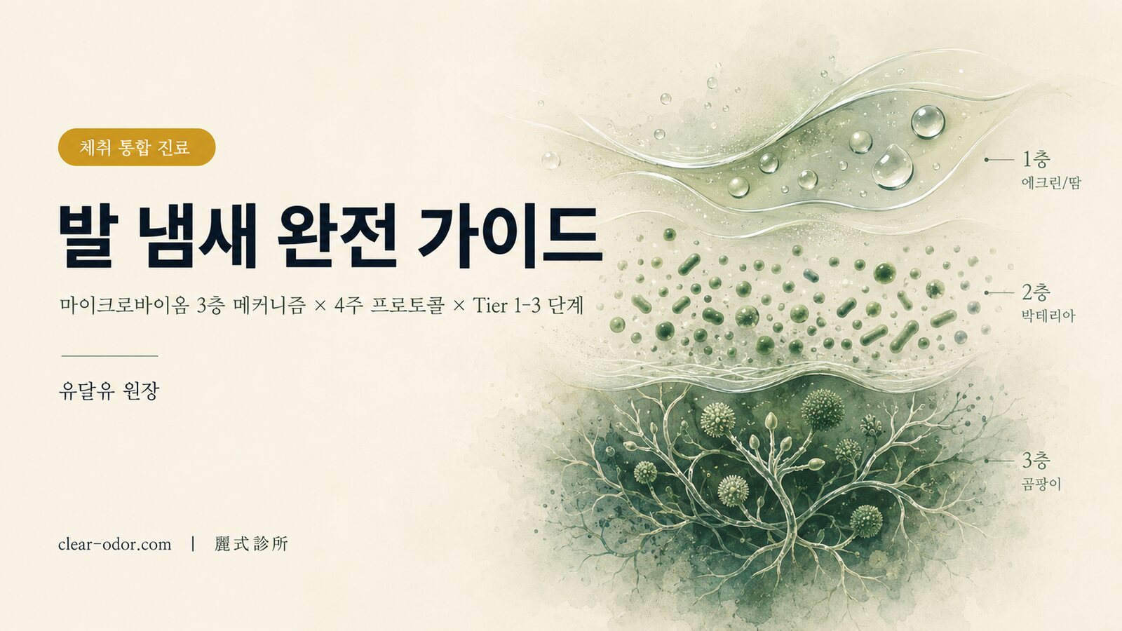 발 냄새 완전 가이드: 유달유 원장이 분석하는 「매일 발을 씻어도 냄새가 나는」 마이크로바이옴의 진실, 4주 홈케어 프로토콜과 Tier 1-3 의료 개입 단계