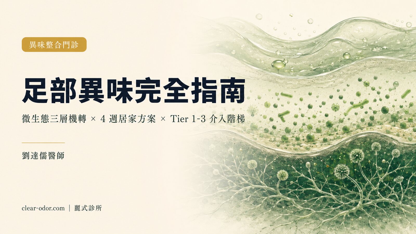 足部異味完全指南:劉達儒醫師解析「為何每天洗腳還是有味道」的微生態真相、4 週居家方案與 Tier 1-3 醫療介入階梯