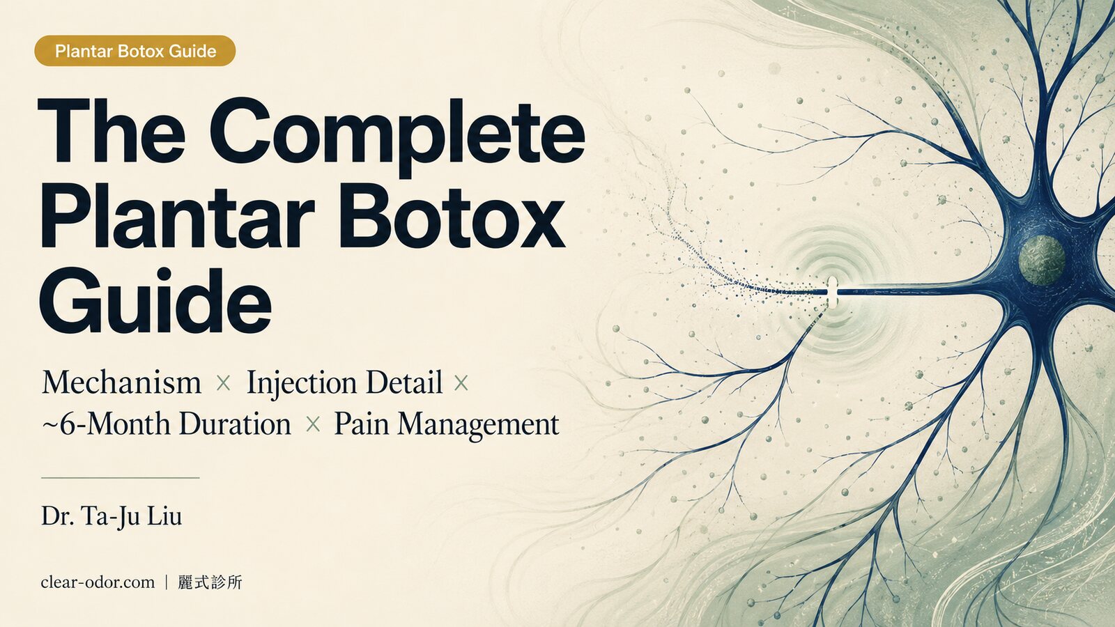Plantar Botox Complete Guide: Dr. Ta-Ju Liu on the Mechanism, Injection Details, ~6-Month Duration, Pain Management, and Comparison with Palmar and Axillary Injections