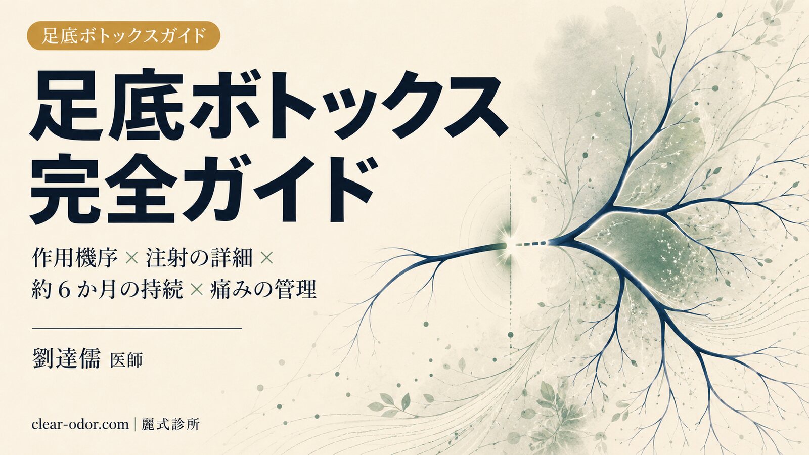 足底ボトックス完全ガイド:劉達儒 医師が解説する作用機序、注射の詳細、約 6 か月の効果持続、痛みの管理、手掌・腋窩注射との比較