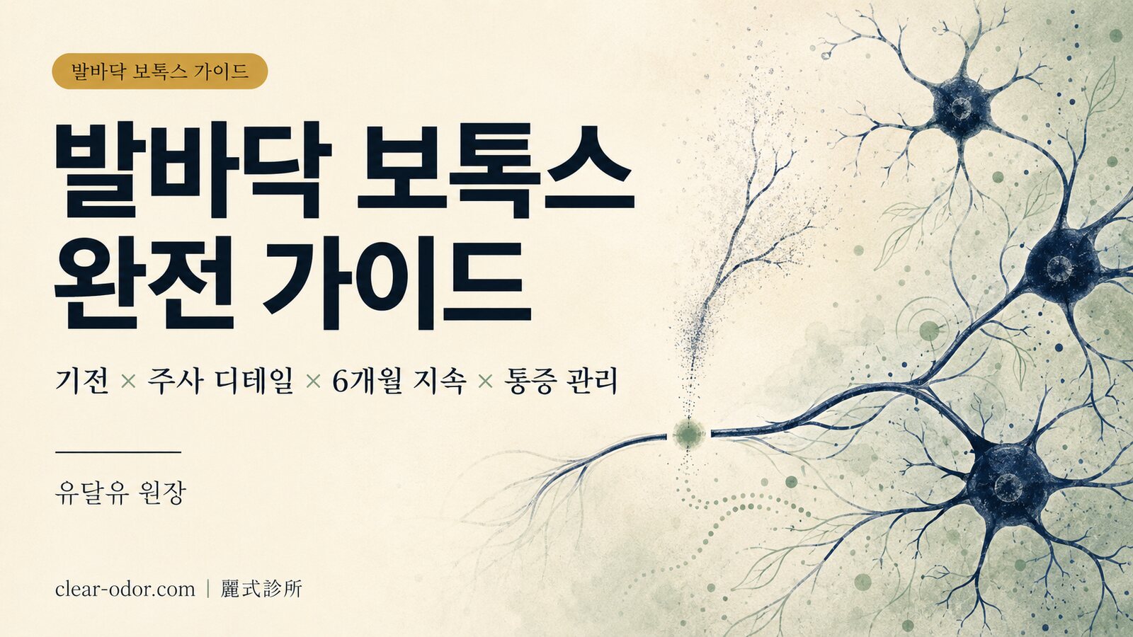 발바닥 보톡스 완전 가이드: 유달유 원장이 말하는 기전, 주사 디테일, 6개월 지속 기간, 통증 관리 및 수장/액와 주사와의 비교