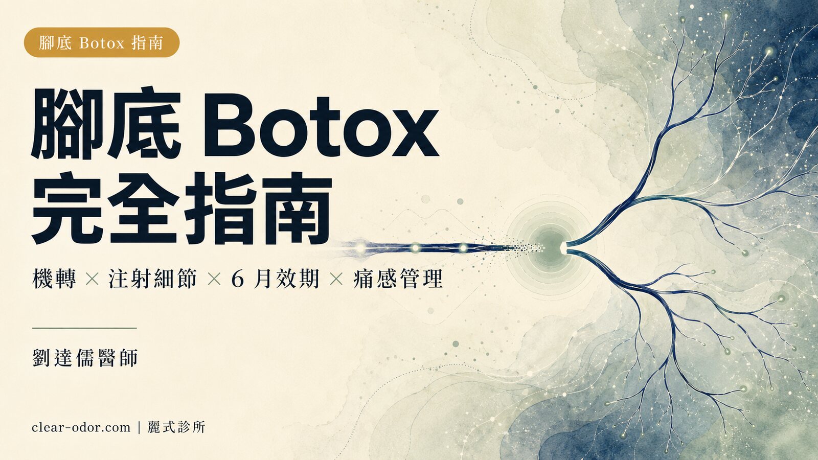 腳底 Botox 完全指南:劉達儒醫師談機轉、注射細節、6 月效期、痛感管理與和手汗/腋下注射的對照