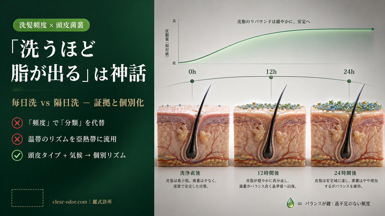 シャンプー頻度 × 頭皮マイクロバイオーム|「毎日洗う vs 隔日洗う」の科学的根拠と個別化判断を劉医師が解説