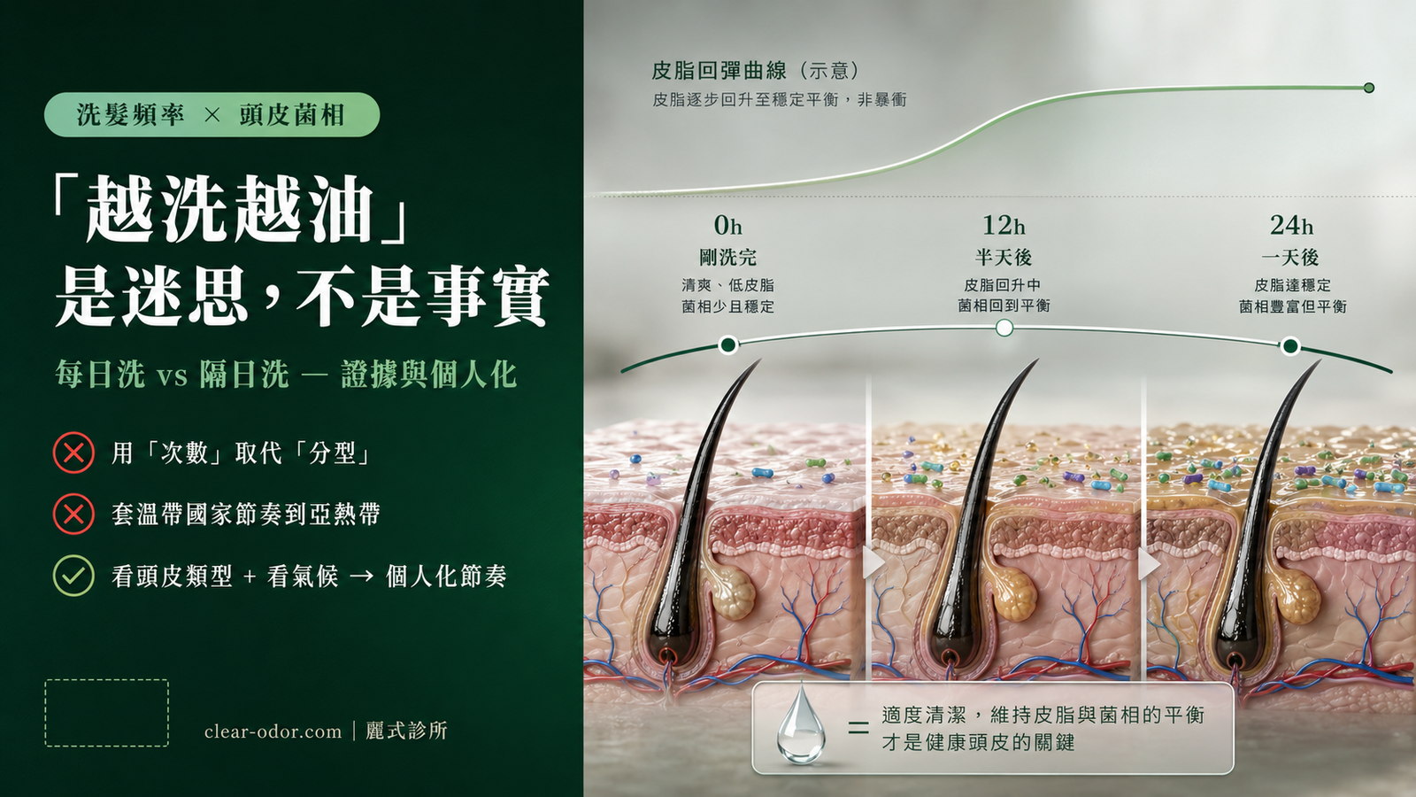 洗髮頻率 × 頭皮菌相:劉達儒醫師解析「每日洗 vs 隔日洗」的科學證據與個人化選擇