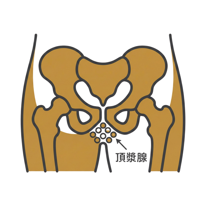 개방 상처 제로